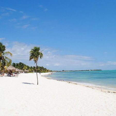 Pavoreal Beach Resort تولوم المظهر الخارجي الصورة