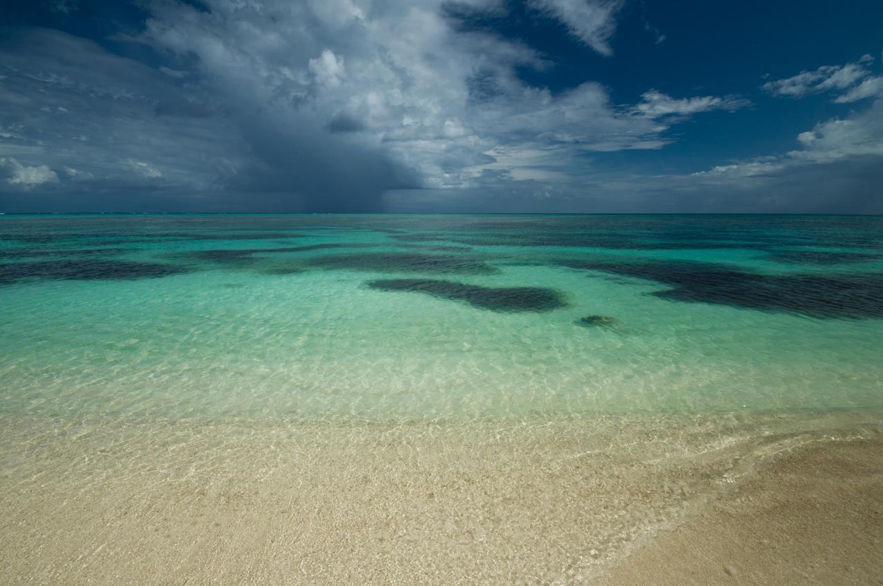 Pavoreal Beach Resort تولوم المظهر الخارجي الصورة